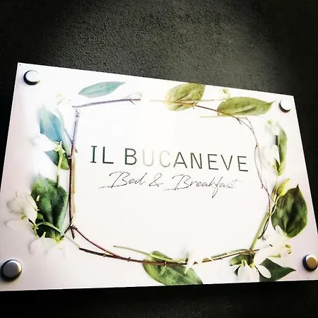 Il Bucaneve Torino